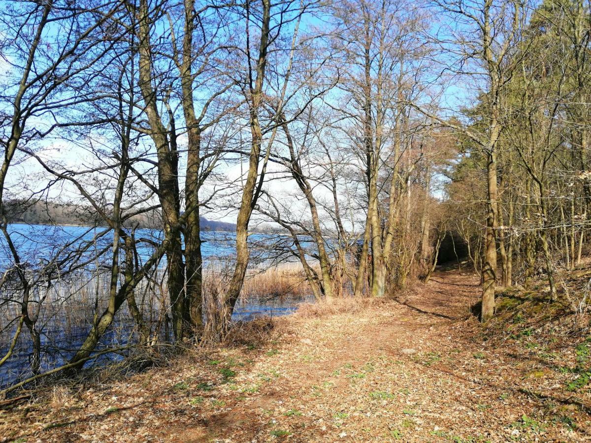 Domki Nad Jeziorem Dąbrówno 外观 照片
