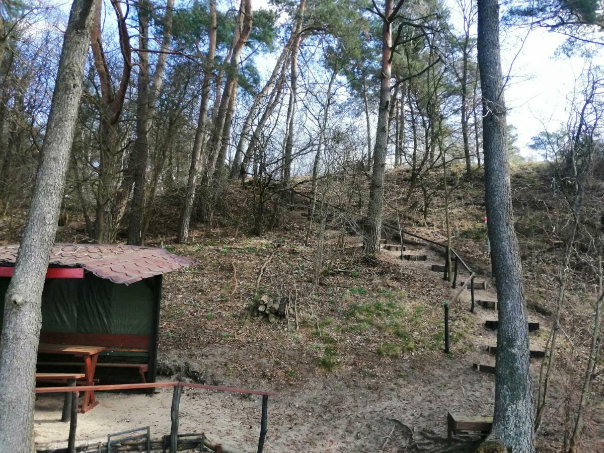 Domki Nad Jeziorem Dąbrówno 外观 照片